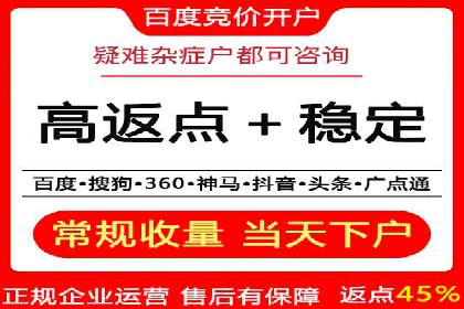 某企业通过百度SEM实现ROI最大化的案例